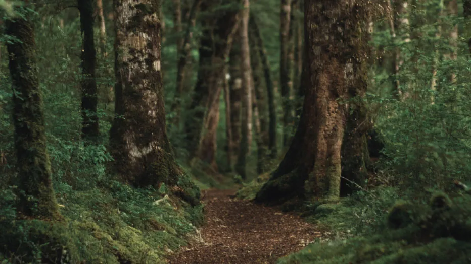 Место, которое надо посмотреть