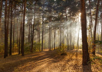 Место, которое надо посмотреть